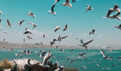 De kracht van overvloed